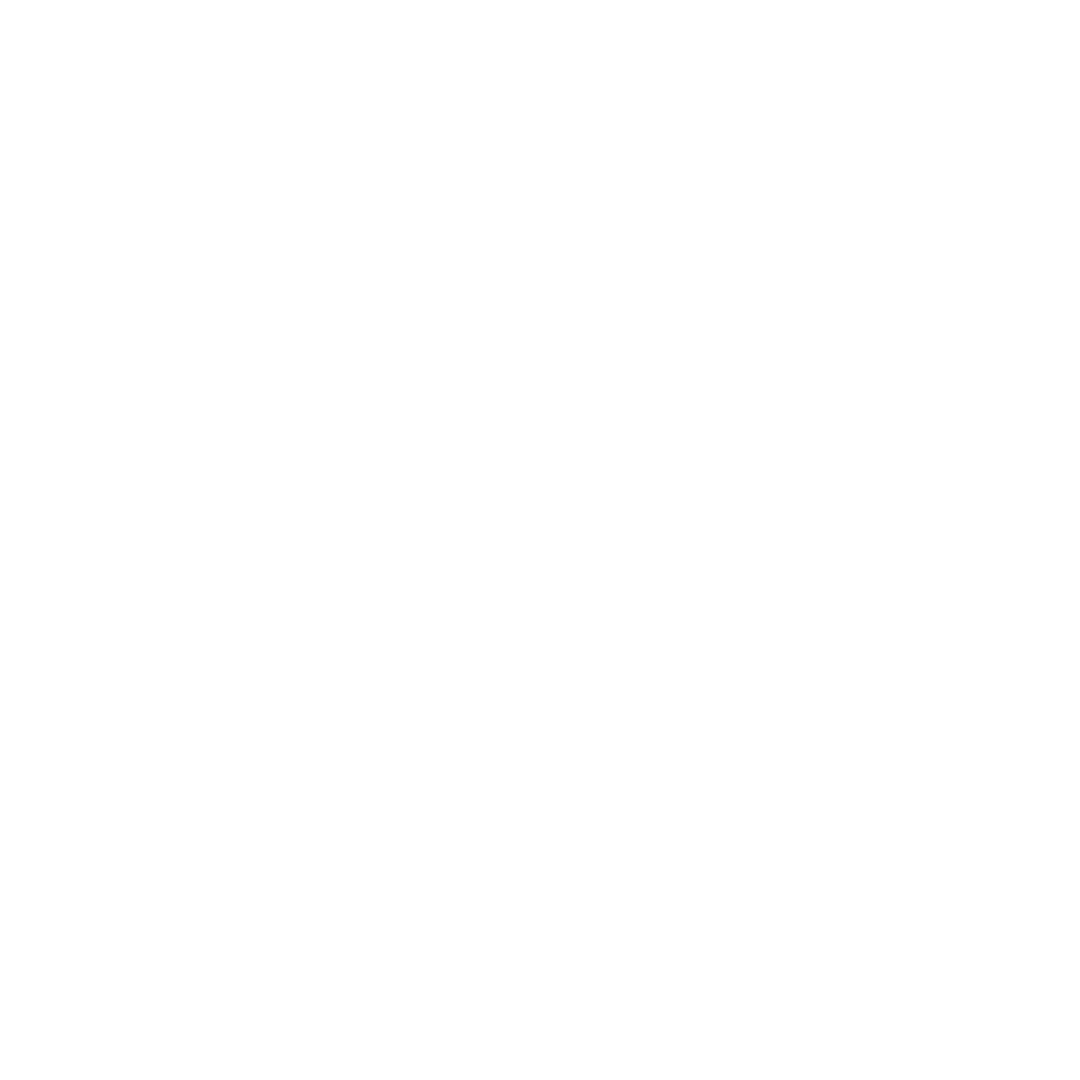 Pub Crawl Company Brussels Logo